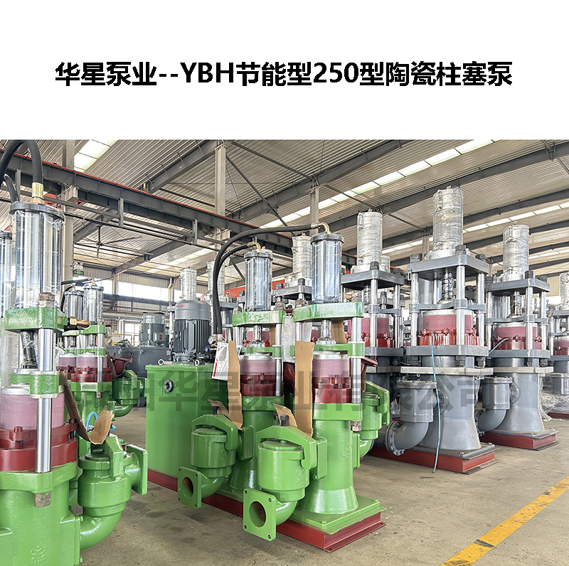 YB250節(jié)能型陶瓷柱塞泵-07 YB250節(jié)能型陶瓷柱塞泵-07